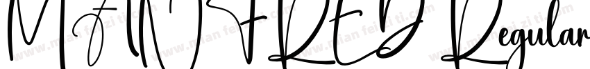 MANFRED Regular字体转换